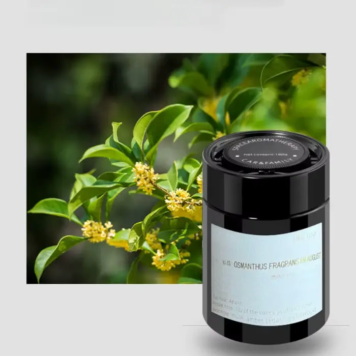 Baume solide parfumé pour voiture avec éclats de parfum longue durée – Nouveauté