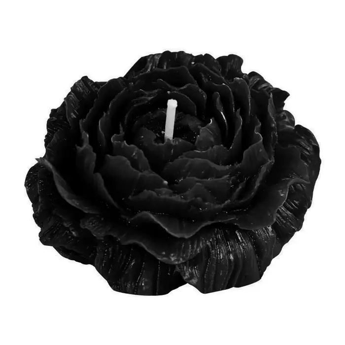 Couple de pivoines colorées, bougie basse température, escales du jour de Léon, mariage 3D, décorati