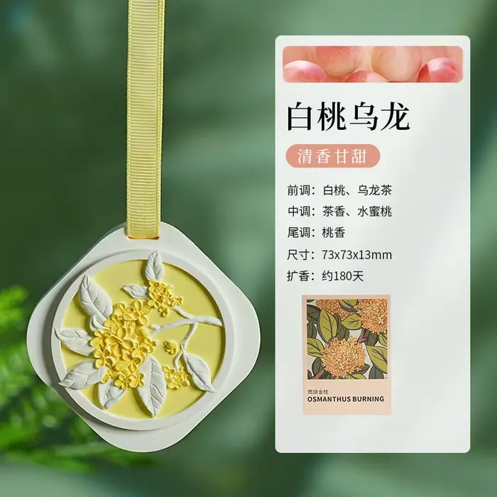 Comprimés parfumés de gypse de gardénia/Osmanthus, pierre d'aromathérapie à 10 parfums, désodorisant