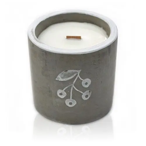 Med Concrete Soy Candle - Berrys - Juniper & Sweet Gin