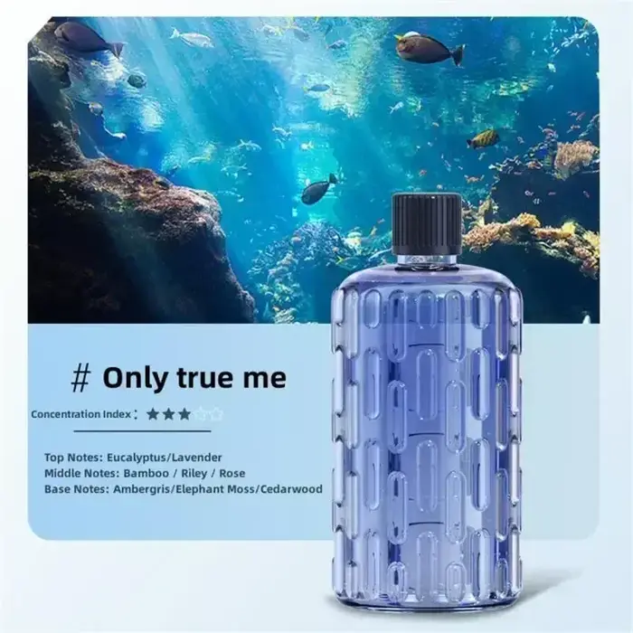 Diffuseur d'arômes pour huiles essentielles, humidificateur d'aromathérapie, désodorisant pour hôtel