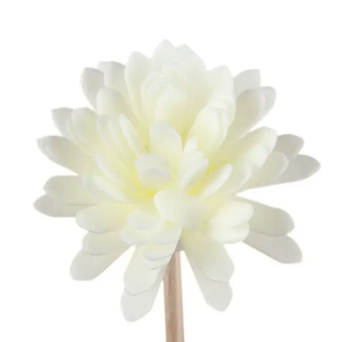 Diffuseur d'huiles essentielles, désodorisant d'ambiance, décoration d'intérieur, aromathérapie, dif