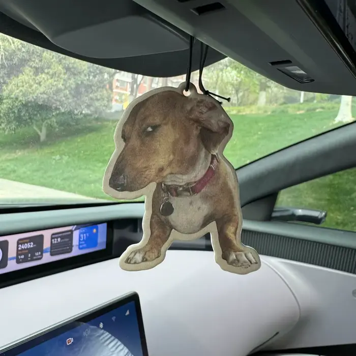 Crooked Dog Expression Pack Parfum d'ambiance pour voiture senteur Brise marine des Bahamas (Saveur 