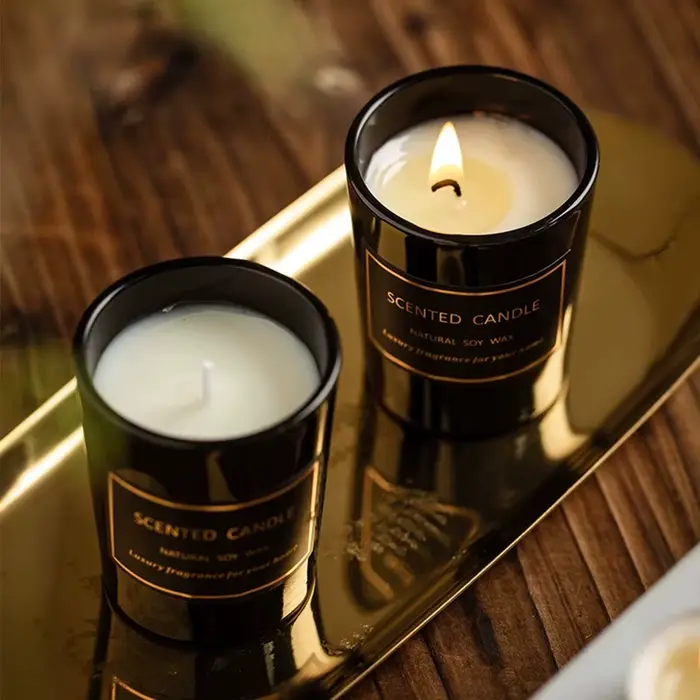 1 pièce Bougie d'aromathérapie moderne européenne parfumée aux plantes pour salon et chambre